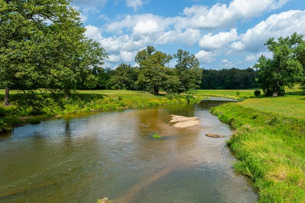 Les Bienfaits Insoupçonnés du Rire pour Votre Bien-être